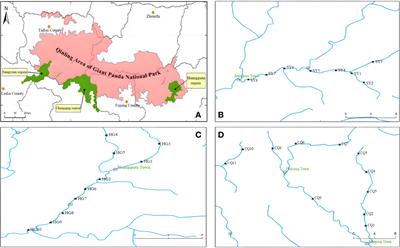 Bridging the gap: The integration of eDNA techniques and traditional sampling in fish diversity analysis